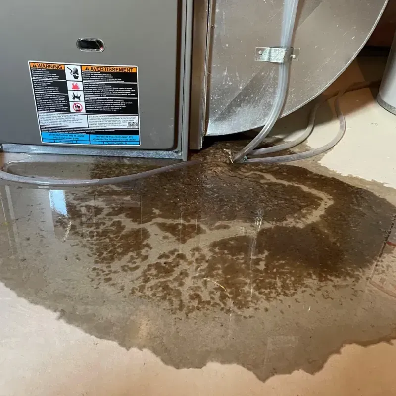 Appliance Leak Cleanup in Westworth, TX